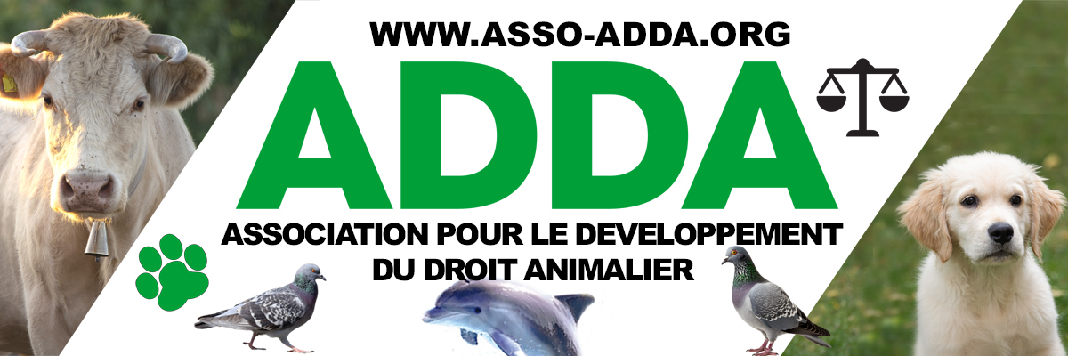 BACHE ADDA5